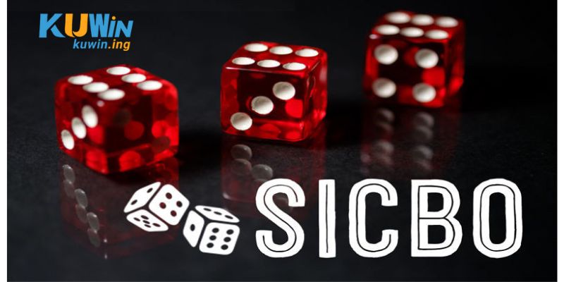 Tìm hiểu về cách chơi Sicbo tại Kuwin